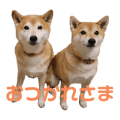 Hachi and Bunta_20210724211306