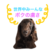 Choco's magic