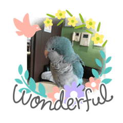 寵物大集合～～