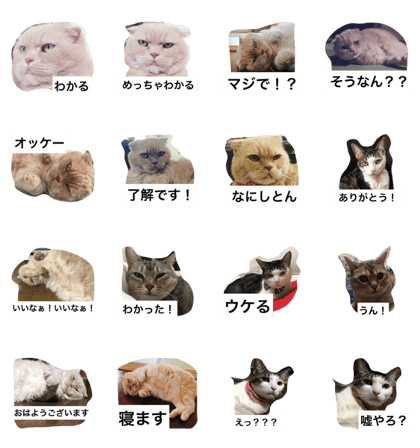 wagayanonekosanbiki