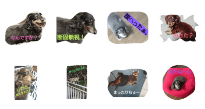 It is a dog COCO stamp