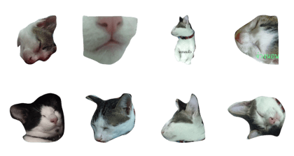moo-cat