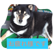 Let's play Satchan