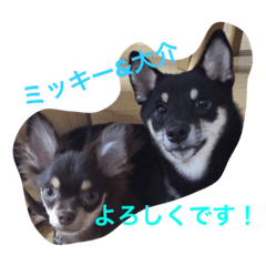 DAISUKE&MICKEY