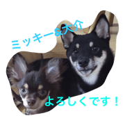 DAISUKE&MICKEY
