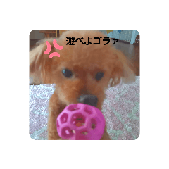 Kuu_20210724173459