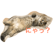 An's Sticker 2
