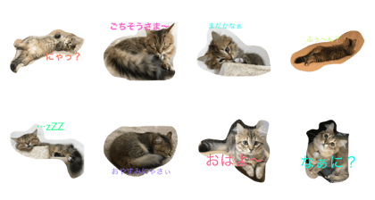 An's Sticker 2