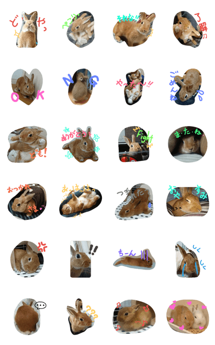 Charlie Rabbit 0505