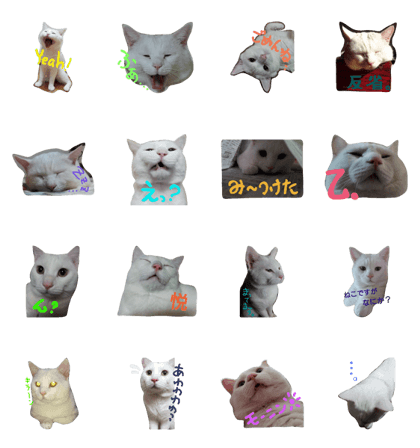 shironekostamps