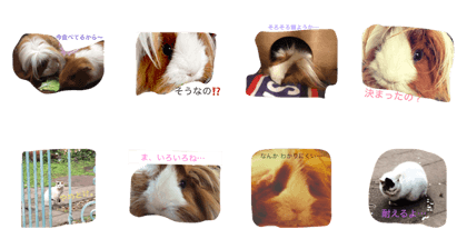 maro&nushi