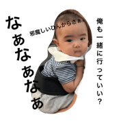 Baby joe 16