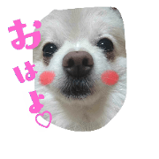 yurimero