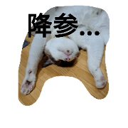 Nakayoshikoyoshi2