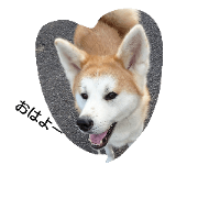 akitainu.hello