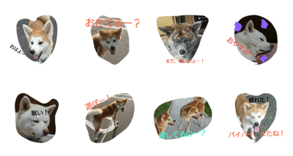 akitainu.hello