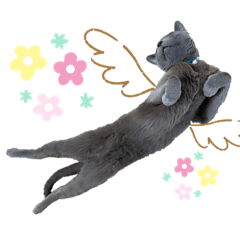 Cat Sticker - The Russian Blue YUNI