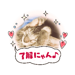 MIKI_20210724231337