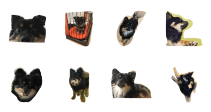 kosuke chihuahua stamp