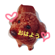 chocoron