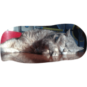 sleepsleep
