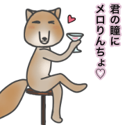 From Tibetan Sand Fox with love.