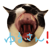 Iwashi-chan