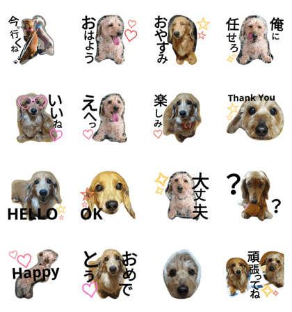 Miniature Dachshund   everyday stamp
