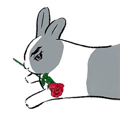 Daily Momo rabbit | 1.0