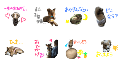 Shell stamps part2