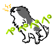 4dog