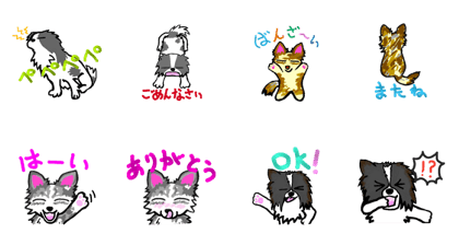 4dog