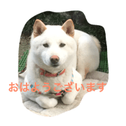 INU NO MUKU
