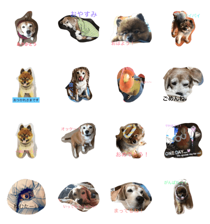 pepecarumeet2