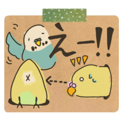 budgerigar's sticker