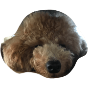 COCO chan DX