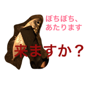 sakanaturi