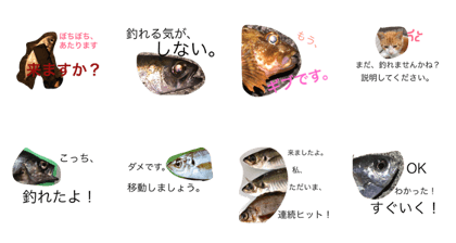 sakanaturi