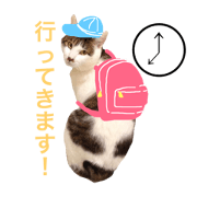 cat of azusa 2