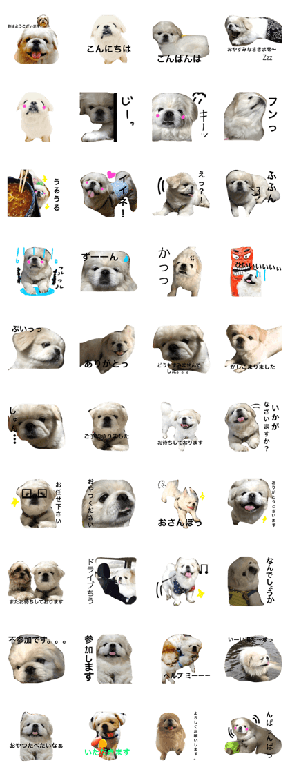 Pekingesechokoma