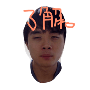 Japanese photo stickers!