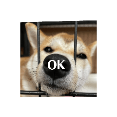 nanatama_20210725152635