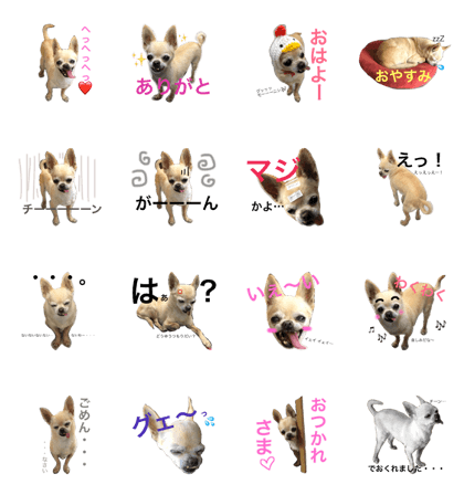 chihuahuanolala