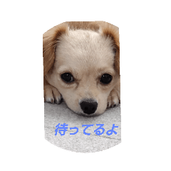 Junko_20210725140350