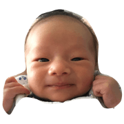 yukitoto