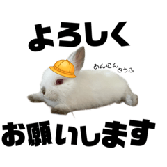 CHIHIRO_20210725163700
