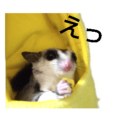 mon-love