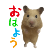 mitarashinatsuko