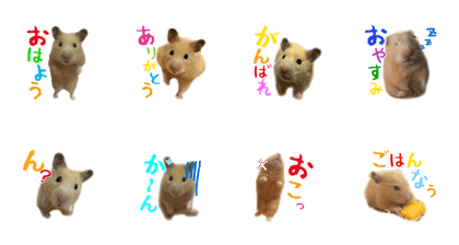 mitarashinatsuko