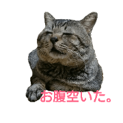 bunta_san